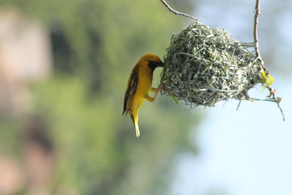 La Mer Lodge Richards Bay Bagian luar foto